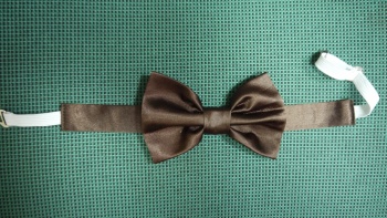 Бабочка фото 822