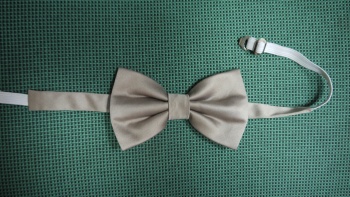 Бабочка фото 821